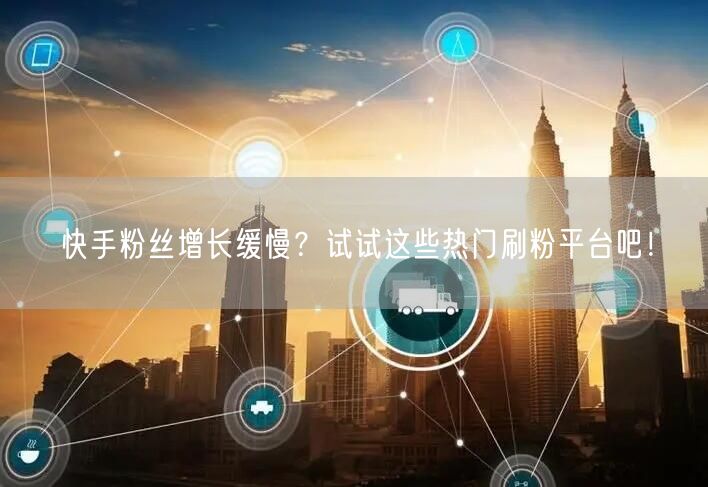 快手粉丝增长缓慢？试试这些热门刷粉平台吧！