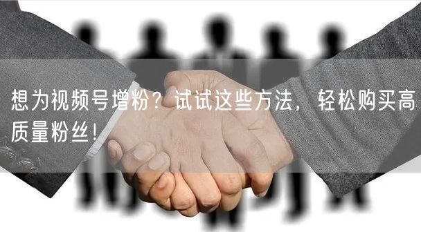 想为视频号增粉？试试这些方法，轻松购买高质量粉丝！