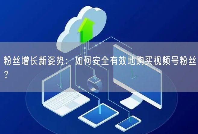 粉丝增长新姿势：如何安全有效地购买视频号粉丝？
