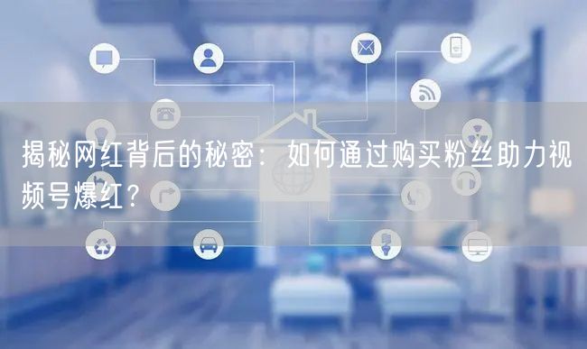 揭秘网红背后的秘密：如何通过购买粉丝助力视频号爆红？
