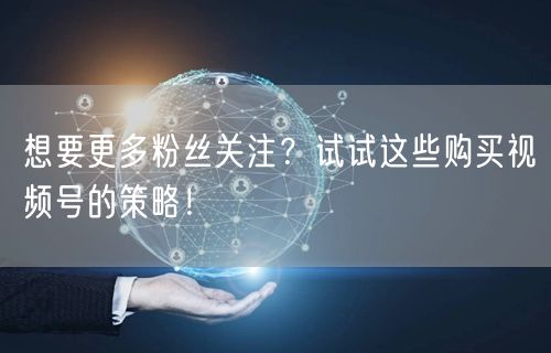 想要更多粉丝关注？试试这些购买视频号的策略！
