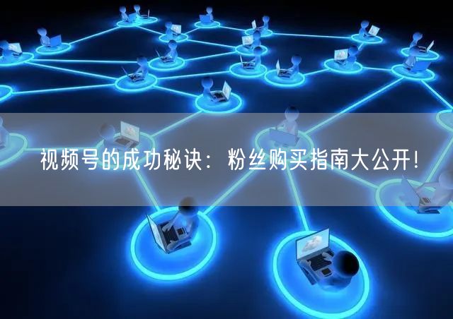视频号的成功秘诀：粉丝购买指南大公开！