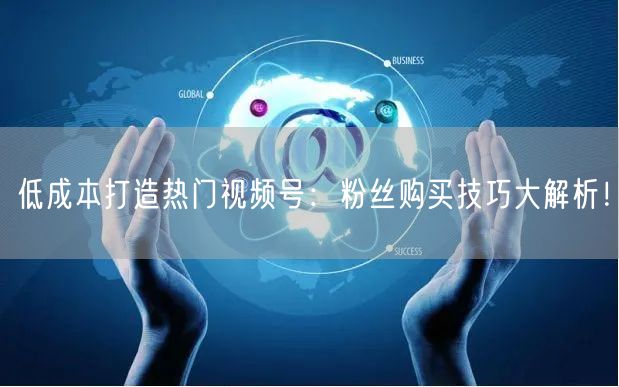 低成本打造热门视频号：粉丝购买技巧大解析！
