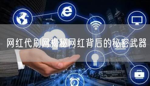 网红代刷网揭秘网红背后的秘密武器