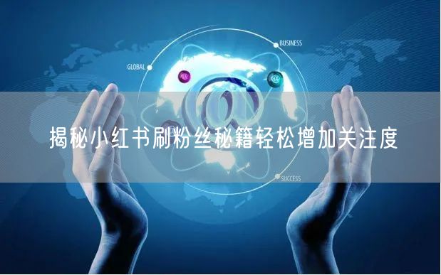 揭秘小红书刷粉丝秘籍轻松增加关注度