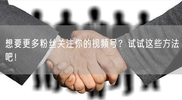想要更多粉丝关注你的视频号？试试这些方法吧！