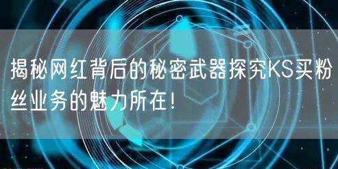 揭秘网红背后的秘密武器探究KS买粉丝业务的魅力所在！