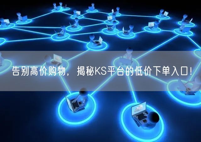 告别高价购物，揭秘KS平台的低价下单入口！