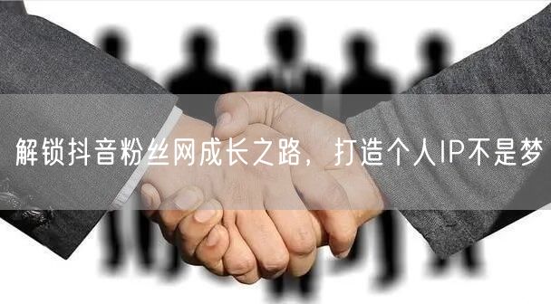 解锁抖音粉丝网成长之路，打造个人IP不是梦