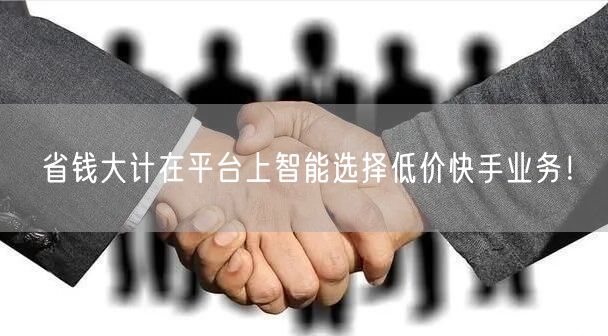 省钱大计在平台上智能选择低价快手业务！